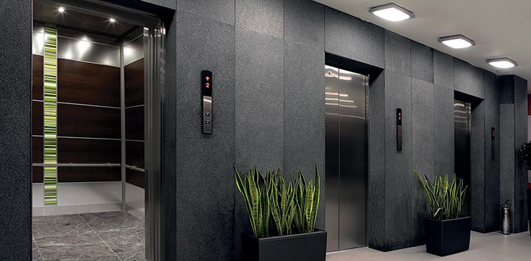 elevate-area